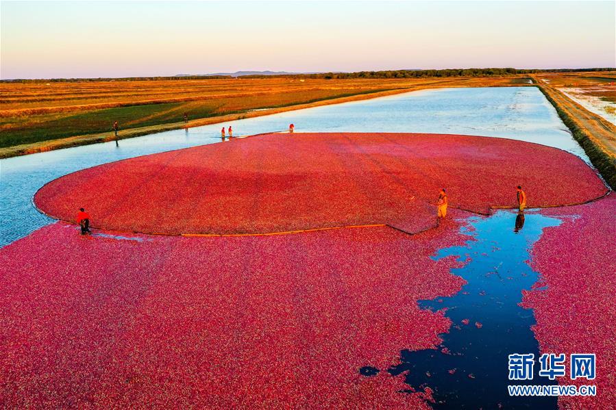 （圖文互動(dòng)）（9）從&ldquo;輕工漁網(wǎng)重工馬掌&rdquo;到&ldquo;圓夢小康&rdquo;&mdash;&mdash;&ldquo;中國東極&rdquo;脫貧攻堅(jiān)剪影