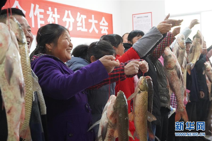 （新春走基層&middot;圖文互動）（3）&ldquo;空殼村&rdquo;分紅啦！