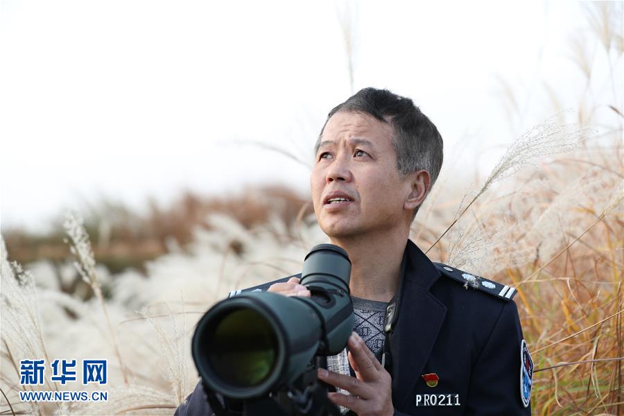 （新春走基層&middot;圖文互動(dòng)）他們，默默守護(hù)候鳥