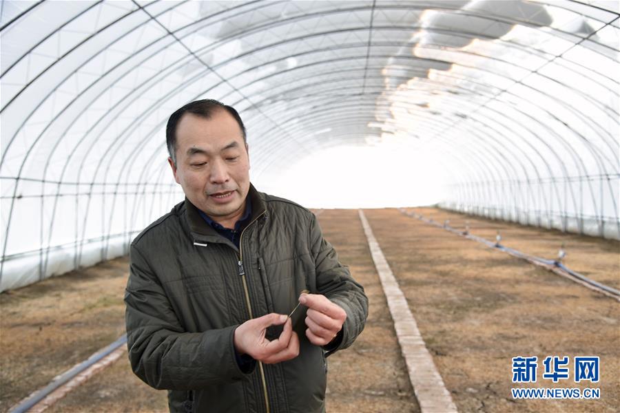 （新春走基層&middot;圖文互動）（2）大興安嶺南麓的春天之二：&ldquo;朱大喇叭&rdquo;吼出脫貧&ldquo;幸福草&rdquo;