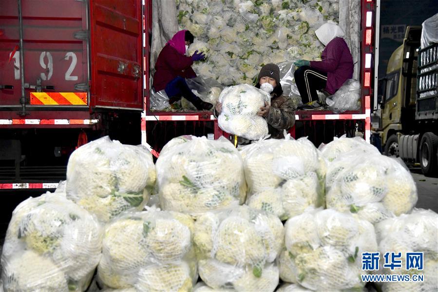 （在習(xí)近平新時代中國特色社會主義思想指引下&mdash;&mdash;新時代新作為新篇章&middot;習(xí)近平總書記關(guān)切事&middot;圖文互動）（5）&ldquo;菜籃子&rdquo;里的力量&mdash;&mdash;全國各地努力做好保障和改善民生工作在行動