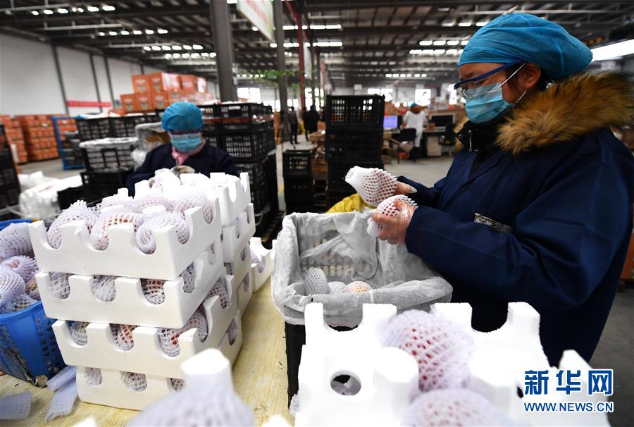 （聚焦疫情防控&middot;圖文互動(dòng)）（1）&ldquo;一輛輛車出發(fā)，春暖花開的日子就不遠(yuǎn)了&rdquo;&mdash;&mdash;西北電商大縣陜西省武功縣復(fù)工見聞