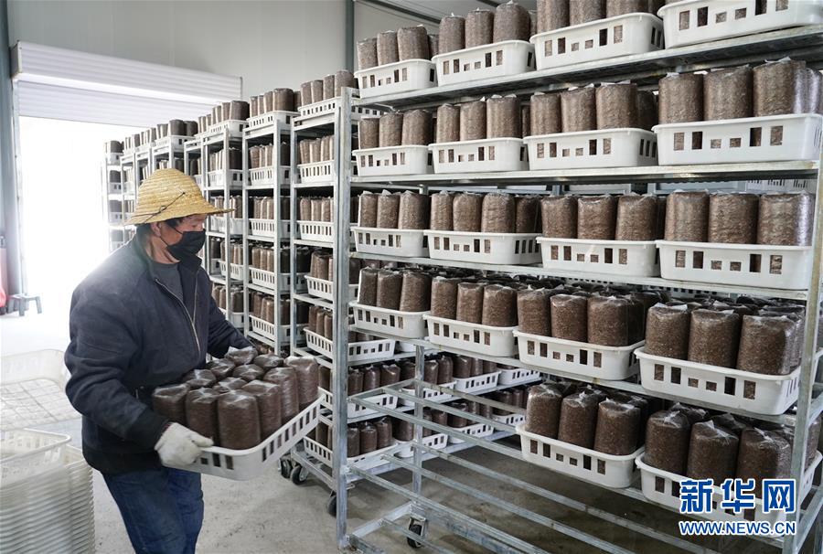 （決戰(zhàn)決勝脫貧攻堅(jiān)&middot;圖文互動(dòng)）（1）秦巴山區(qū)：戰(zhàn)疫戰(zhàn)貧，兩場(chǎng)仗都要打贏