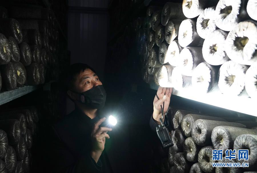 （決戰(zhàn)決勝脫貧攻堅(jiān)&middot;圖文互動(dòng)）（4）秦巴山區(qū)：戰(zhàn)疫戰(zhàn)貧，兩場(chǎng)仗都要打贏