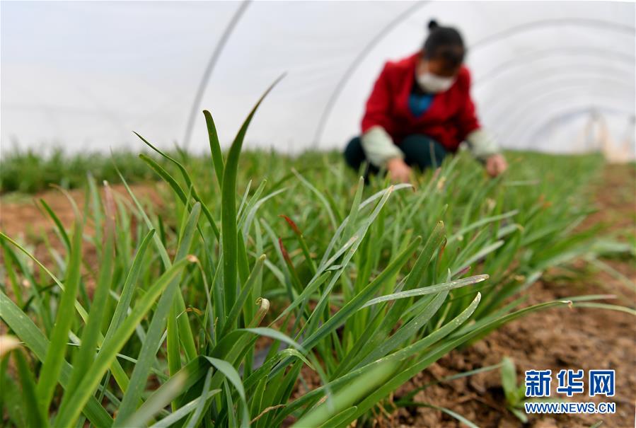 （圖文互動）（3）&ldquo;春天到了，熟悉的生活正在慢慢回來&rdquo;&mdash;&mdash;陜西多地復產(chǎn)復工一線見聞