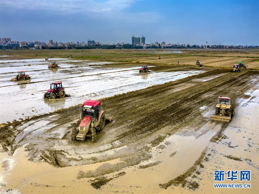 （圖文互動(dòng)）讓&ldquo;世界工廠&rdquo;心不慌&mdash;&mdash;廣東春耕生產(chǎn)見(jiàn)聞