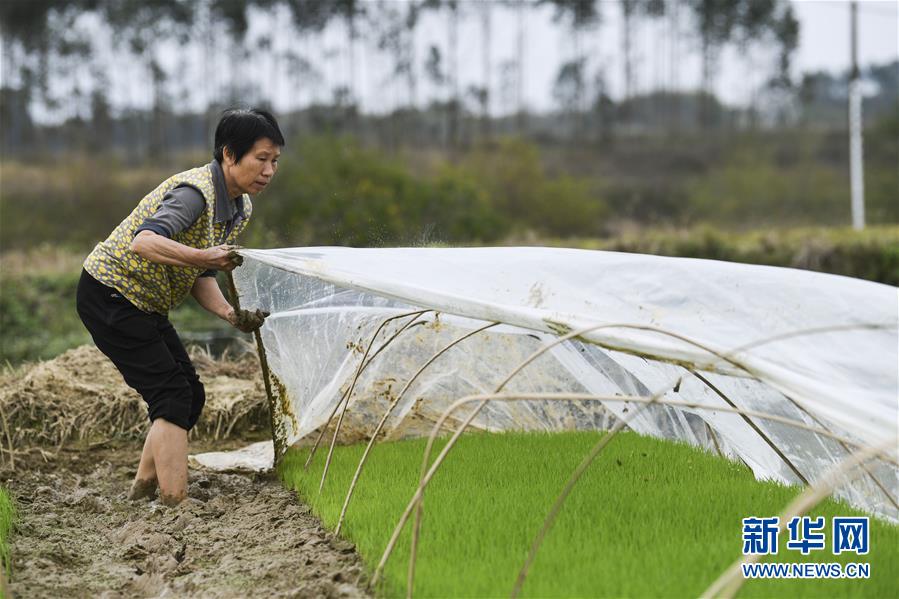 （圖文互動(dòng)）（2）&ldquo;早一天復(fù)工，損失就少一點(diǎn)&rdquo;&mdash;&mdash;廣西以精準(zhǔn)防控推動(dòng)復(fù)工復(fù)產(chǎn)一線見(jiàn)聞