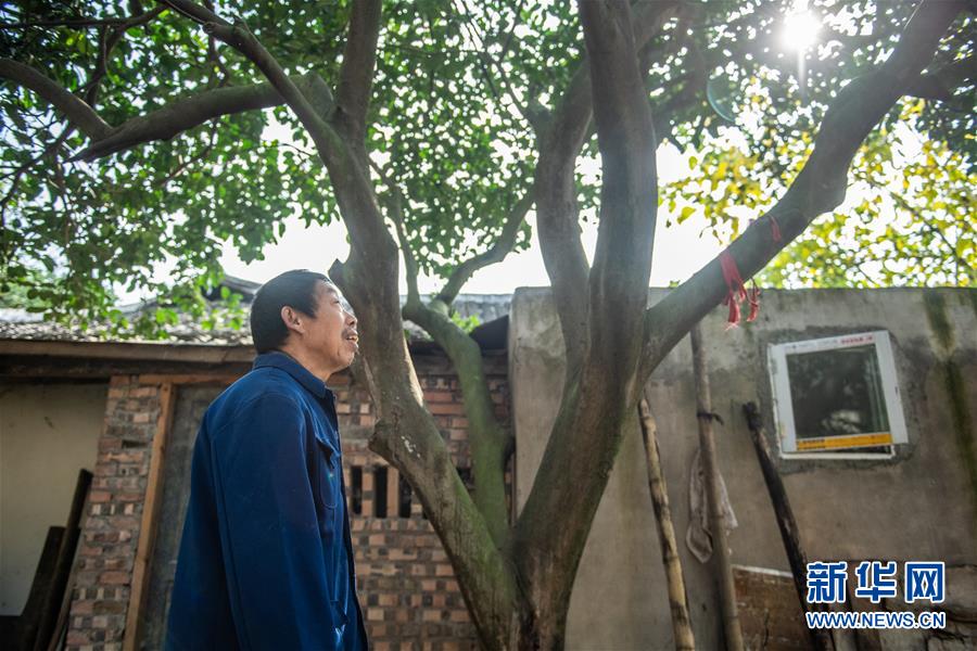 （新華全媒頭條&middot;圖文互動）（7）書寫新的轉折&mdash;&mdash;寫在革命老區(qū)遵義全面脫貧之際