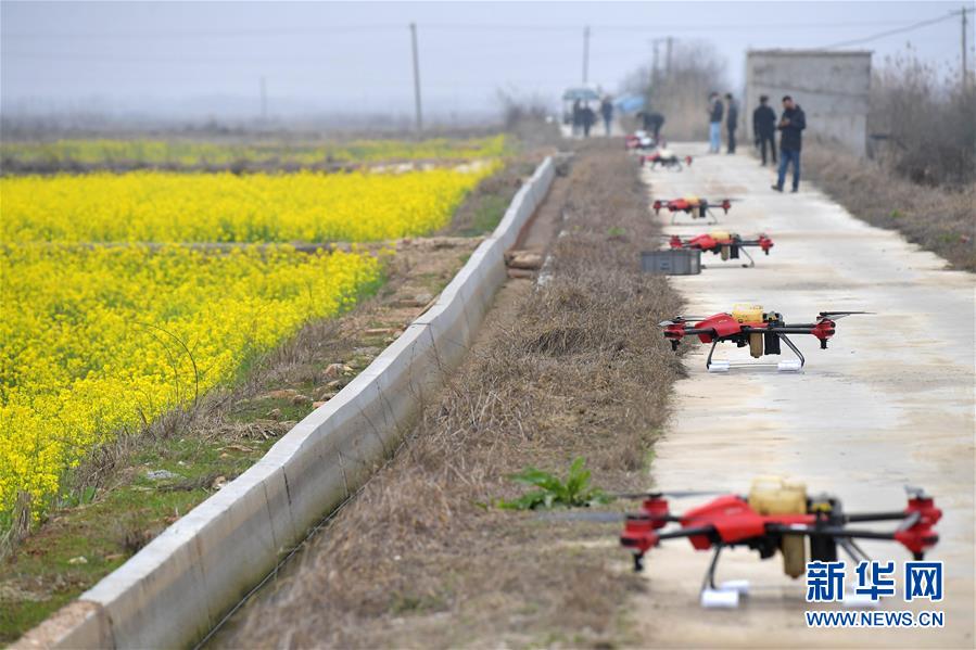 （抓好春耕備耕 穩(wěn)住農(nóng)業(yè)生產(chǎn)&middot;圖文互動(dòng)）（4）智能農(nóng)機(jī)、&ldquo;訂單&rdquo;服務(wù)、&ldquo;云端&rdquo;種菜&mdash;&mdash;來自江西的春耕&ldquo;新事&rdquo;