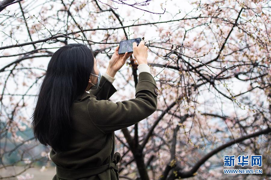 (圖文互動(dòng))(5)湖南:響應(yīng)降級(jí) 經(jīng)濟(jì)提速 防控不松
