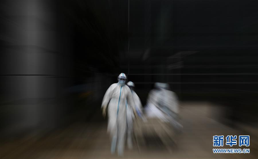 （聚焦疫情防控&middot;圖文互動(dòng)）（13）這個(gè)春天，期待已久