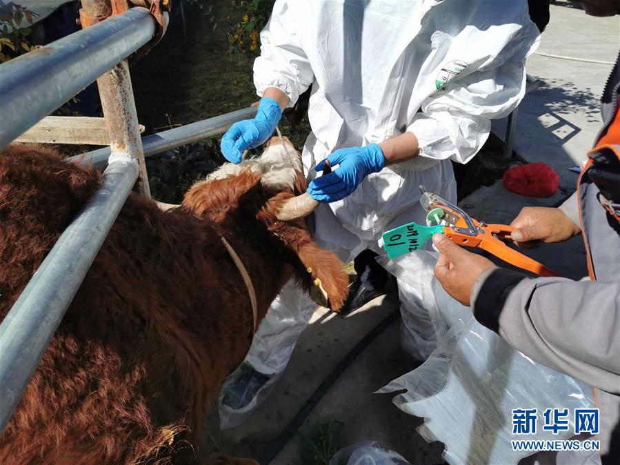 （決戰(zhàn)決勝脫貧攻堅(jiān)&middot;圖文互動(dòng)）（1）脫貧&ldquo;不暫停&rdquo; 服務(wù)&ldquo;不打烊&rdquo;&mdash;&mdash;天津通過(guò)&ldquo;云端&rdquo;幫扶為甘肅受援地區(qū)戰(zhàn)貧繼續(xù)助力