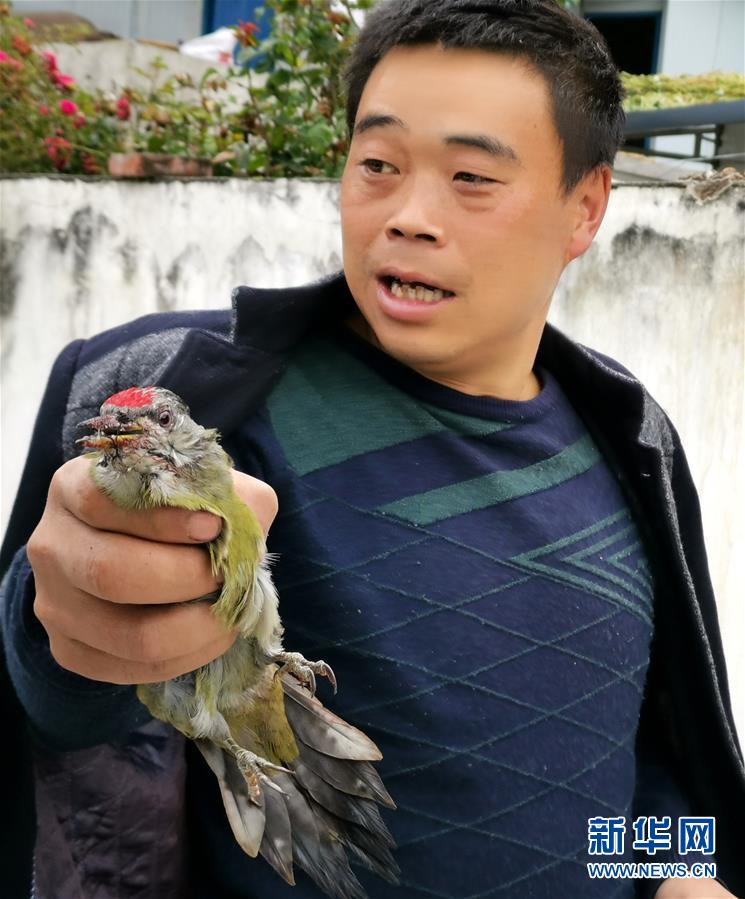 (圖文互動(dòng))(2)夜訪二郎山:中國(guó)最美景觀大道上的幸福煩惱