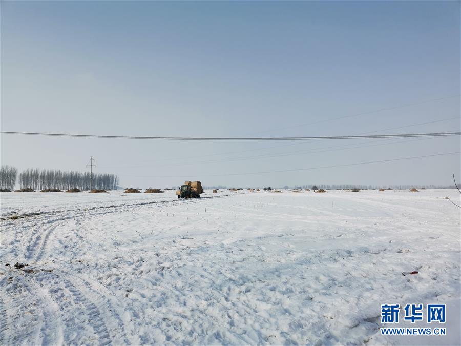 （抓好春耕備耕 穩(wěn)住農(nóng)業(yè)生產(chǎn)&middot;圖文互動(dòng)）（2）土地找&ldquo;管家&rdquo; 線上保春耕&mdash;&mdash;黑龍江省蘭西縣農(nóng)業(yè)生產(chǎn)托管服務(wù)見(jiàn)聞