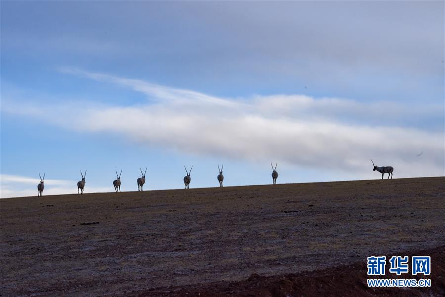 （新華全媒頭條&middot;圖文互動(dòng)）（1）跨越半個(gè)世紀(jì)的生命遷徙&mdash;&mdash;西藏極高海拔生態(tài)搬遷破解人與自然共生難題