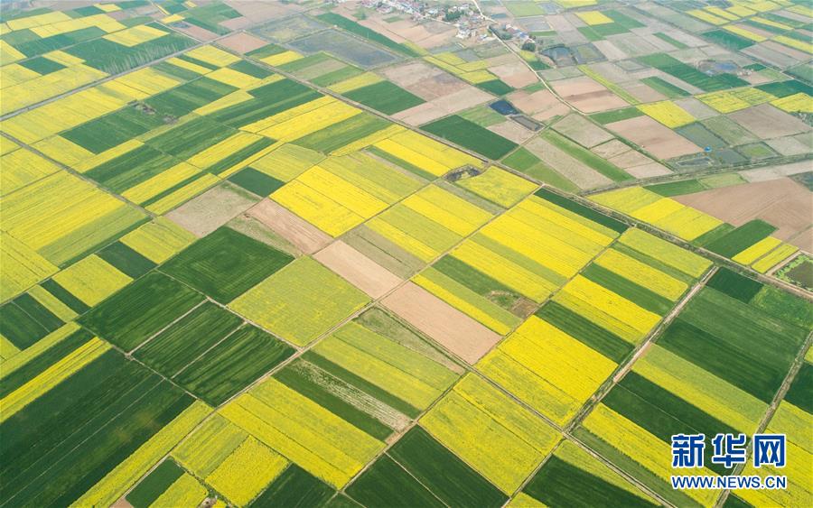 (新華全媒頭條·圖文互動(dòng))(6)在艱難中重啟 在陣痛中復(fù)蘇——湖北推動(dòng)安全有序復(fù)工復(fù)產(chǎn)掃描