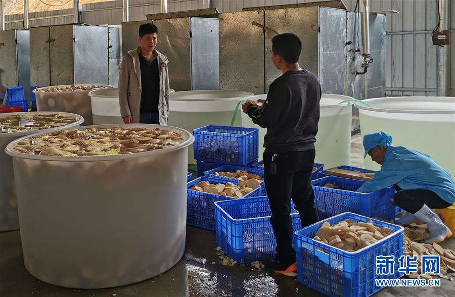 （決戰(zhàn)決勝脫貧攻堅(jiān)&middot;圖文互動(dòng)）掛牌督戰(zhàn)，一個(gè)都不能少&mdash;&mdash;江西確保剩余9.6萬貧困人口全部脫貧