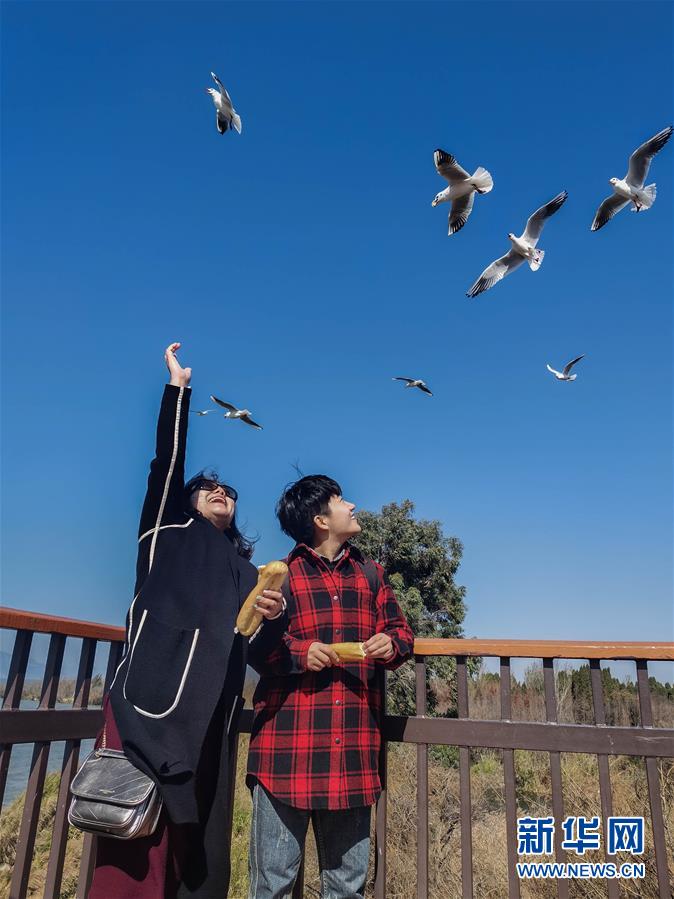 （一線抗疫群英譜&middot;圖文互動）（1）大學生志愿者譚藝西：在武漢，我和媽媽共戰(zhàn)&ldquo;疫&rdquo;