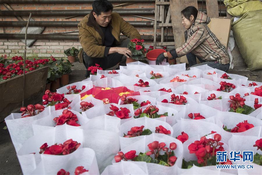 （在習(xí)近平新時代中國特色社會主義思想指引下&mdash;&mdash;新時代新作為新篇章&middot;習(xí)近平總書記關(guān)切事&middot;圖文互動）（1）希望的田野，希望的春天&mdash;&mdash;各地農(nóng)業(yè)生產(chǎn)新動態(tài)掃描