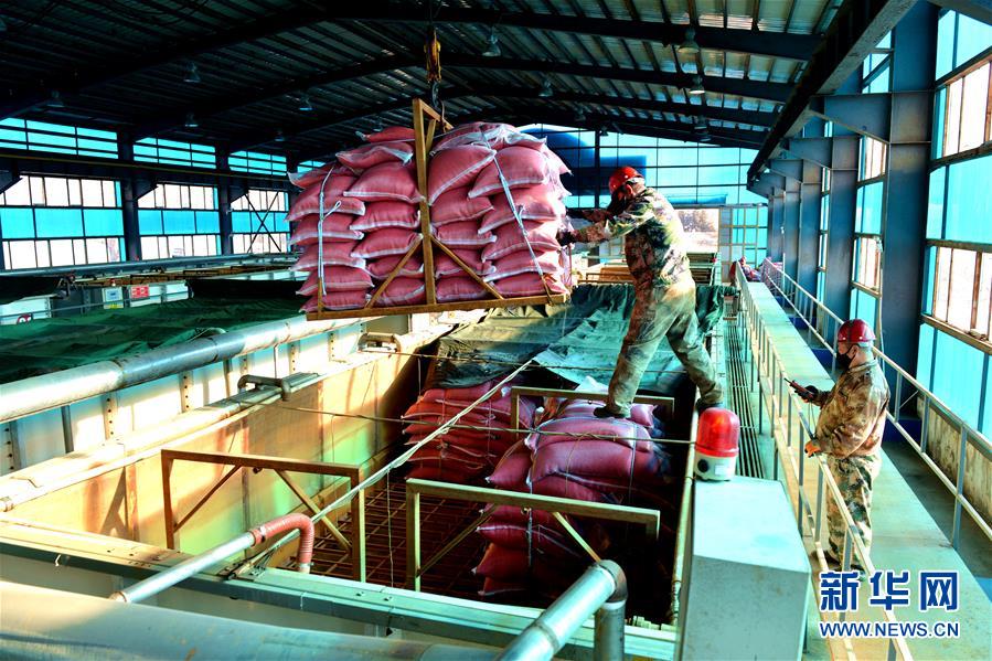 （在習(xí)近平新時代中國特色社會主義思想指引下&mdash;&mdash;新時代新作為新篇章&middot;習(xí)近平總書記關(guān)切事&middot;圖文互動）（6）希望的田野，希望的春天&mdash;&mdash;各地農(nóng)業(yè)生產(chǎn)新動態(tài)掃描