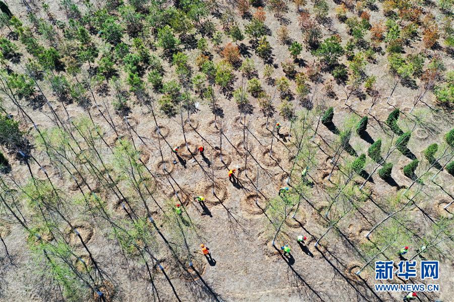 （新華全媒頭條&middot;圖文互動）（5）雄安畫卷徐徐鋪展　&ldquo;未來之城&rdquo;蓄勢待發(fā)&mdash;&mdash;雄安新區(qū)設(shè)立三周年巡禮