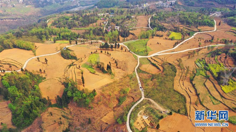 （決戰(zhàn)決勝脫貧攻堅(jiān)&middot;圖文互動(dòng)）（2）寄相思，償夙愿&mdash;&mdash;5封清明&ldquo;家書&rdquo;里的決戰(zhàn)決勝信念