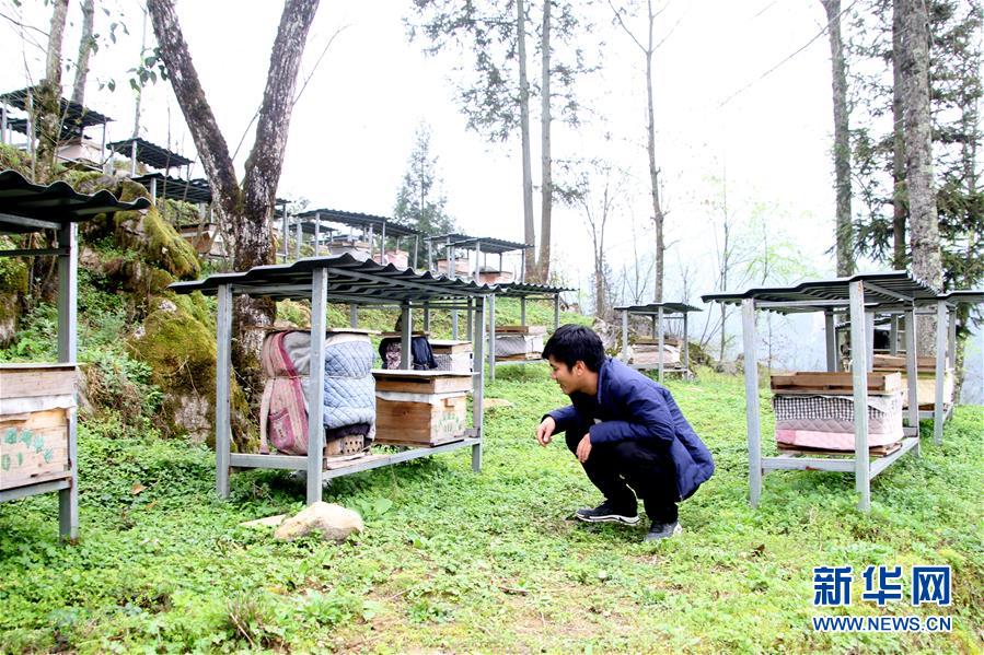 （決戰(zhàn)決勝脫貧攻堅(jiān)&middot;圖文互動(dòng)）（3）寄相思，償夙愿&mdash;&mdash;5封清明&ldquo;家書&rdquo;里的決戰(zhàn)決勝信念