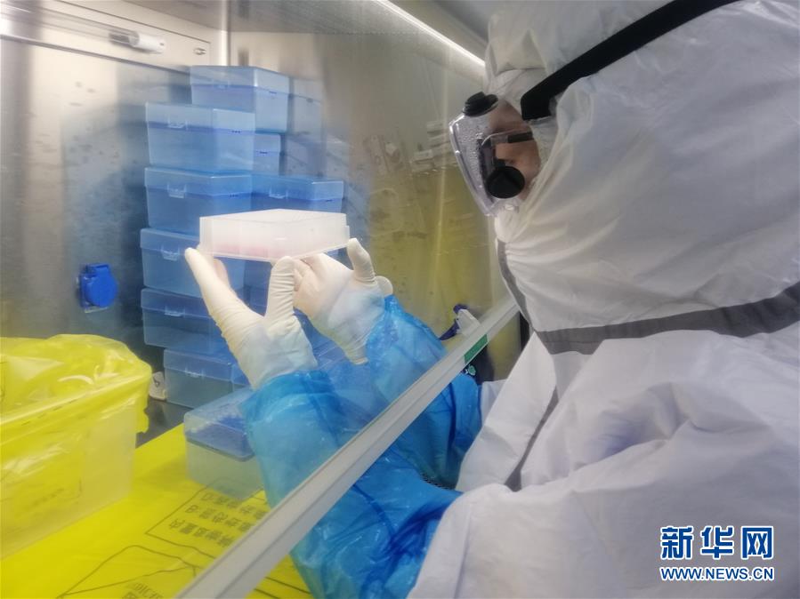 （一線抗疫群英譜&middot;圖文互動）（2）&ldquo;95后&rdquo;大學(xué)生郝鶯歌：退掉車票，她選擇直面病毒