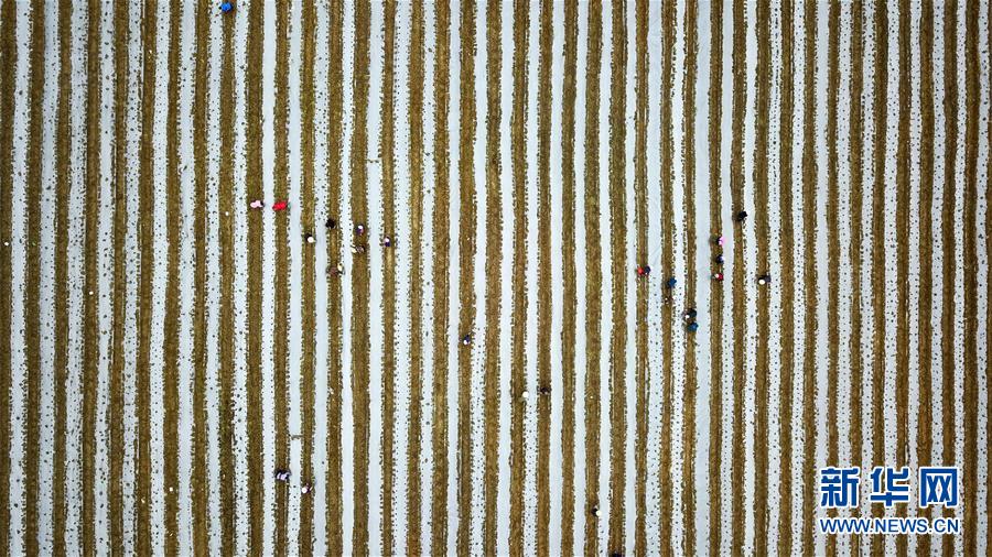 （在習(xí)近平新時代中國特色社會主義思想指引下&mdash;&mdash;新時代新作為新篇章&middot;習(xí)近平總書記關(guān)切事&middot;圖文互動）（6）啃下最后的硬骨頭&mdash;&mdash;脫貧攻堅掛牌督戰(zhàn)進(jìn)行時