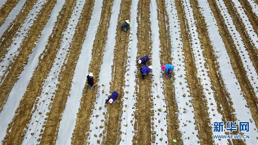 （在習(xí)近平新時代中國特色社會主義思想指引下&mdash;&mdash;新時代新作為新篇章&middot;習(xí)近平總書記關(guān)切事&middot;圖文互動）（8）啃下最后的硬骨頭&mdash;&mdash;脫貧攻堅掛牌督戰(zhàn)進(jìn)行時