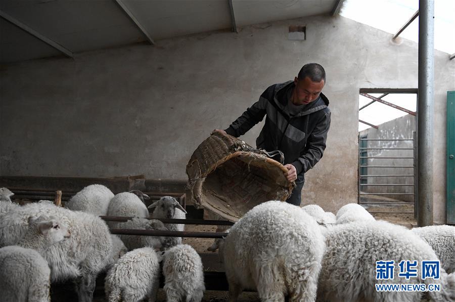 （新華全媒頭條&middot;圖文互動）（1）春天里的5個&ldquo;戰(zhàn)貧&rdquo;瞬間&mdash;&mdash;習(xí)近平總書記關(guān)于脫貧攻堅(jiān)決策部署指引攻克最后的深貧堡壘