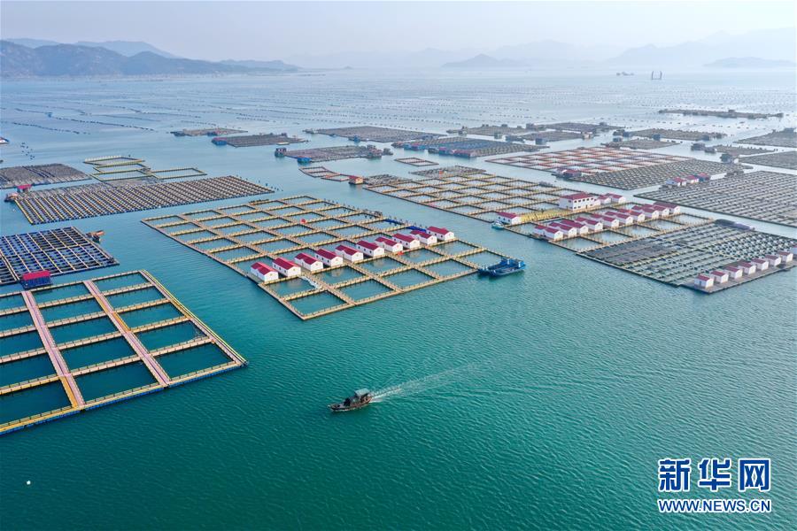 （新華全媒頭條&middot;圖文互動(dòng)）（10）永遠(yuǎn)的夢(mèng)想 永恒的追求&mdash;&mdash;寫在北京世園會(huì)開幕一周年之際