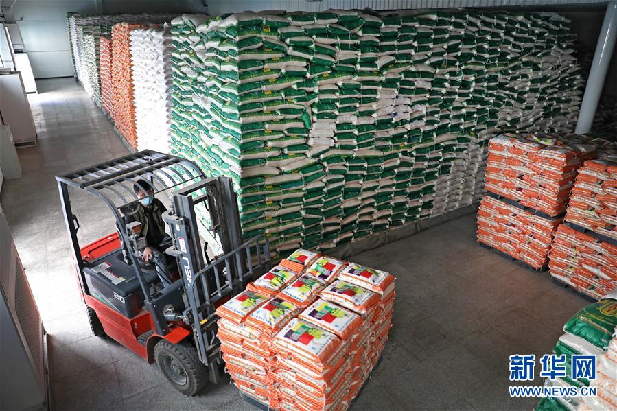 （在習(xí)近平新時(shí)代中國(guó)特色社會(huì)主義思想指引下&mdash;&mdash;新時(shí)代新作為新篇章&middot;習(xí)近平總書記關(guān)切事&middot;圖文互動(dòng)）（9）春耕忙 信心足&mdash;&mdash;谷雨時(shí)節(jié)走馬東北直擊糧事