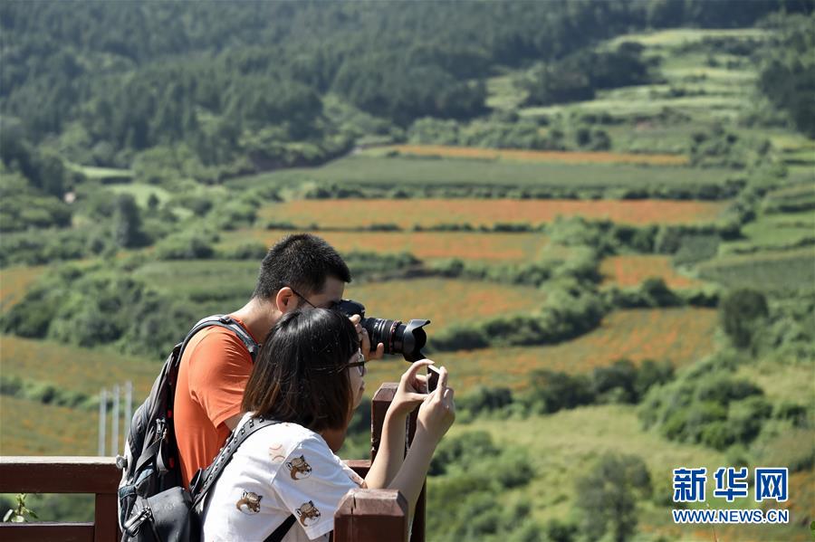 （圖文互動(dòng)）（1）這座小城，鐫刻下怎樣的&ldquo;世園印記&rdquo;&mdash;&mdash;北京世園會(huì)開園一周年探訪延慶
