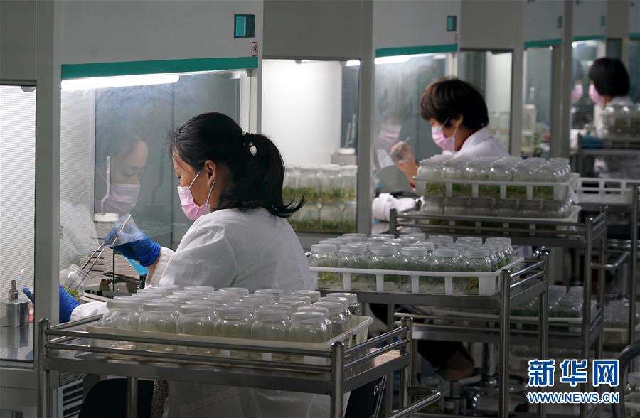 （來自一線的調查報告&middot;圖文互動）（6）搶出一個身位謀發(fā)展&mdash;&mdash;河南許昌經濟復蘇見聞