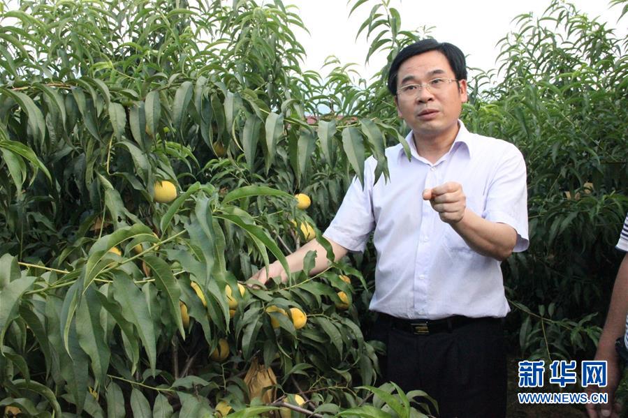 （圖文互動）（2）&ldquo;為脫貧而來，為脫貧而去&rdquo;&mdash;&mdash;追記湖南炎陵縣委原書記黃詩燕 