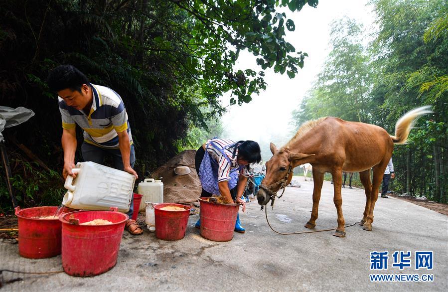 （決戰(zhàn)決勝脫貧攻堅(jiān)&middot;圖文互動(dòng)）（4）老余賣騾子