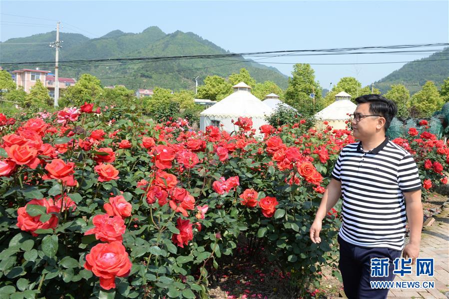 （決戰(zhàn)決勝脫貧攻堅&middot;圖文互動）（6）理發(fā)師&ldquo;修剪&rdquo;鄉(xiāng)村游一團(tuán)亂麻