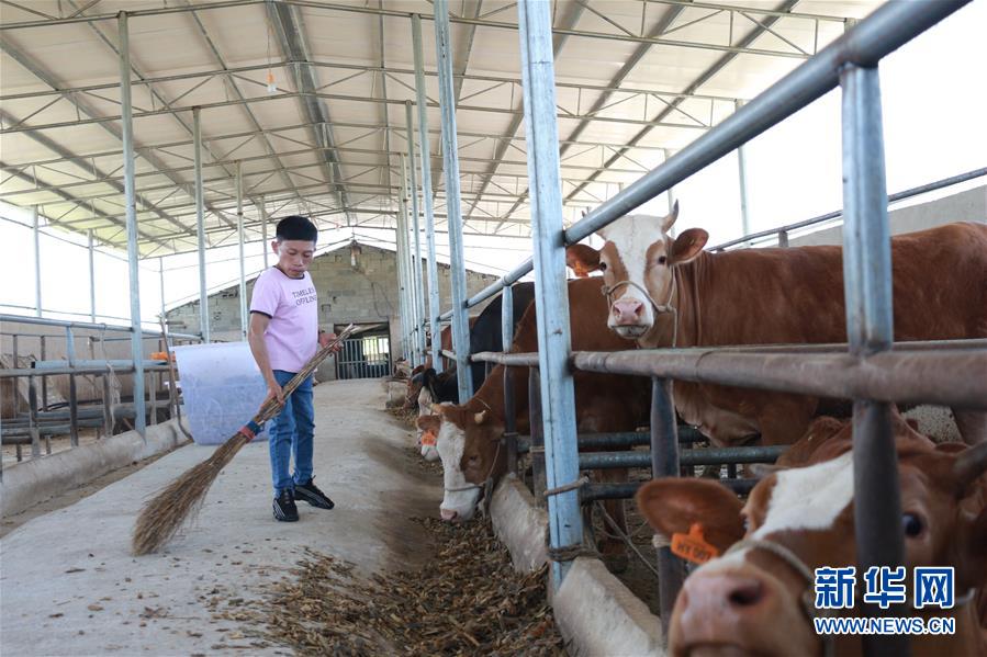 （新華全媒頭條&middot;圖文互動(dòng)）（7）刺梨花開(kāi)滿山紅&mdash;&mdash;記在貴州脫貧攻堅(jiān)一線奮斗的殘疾人