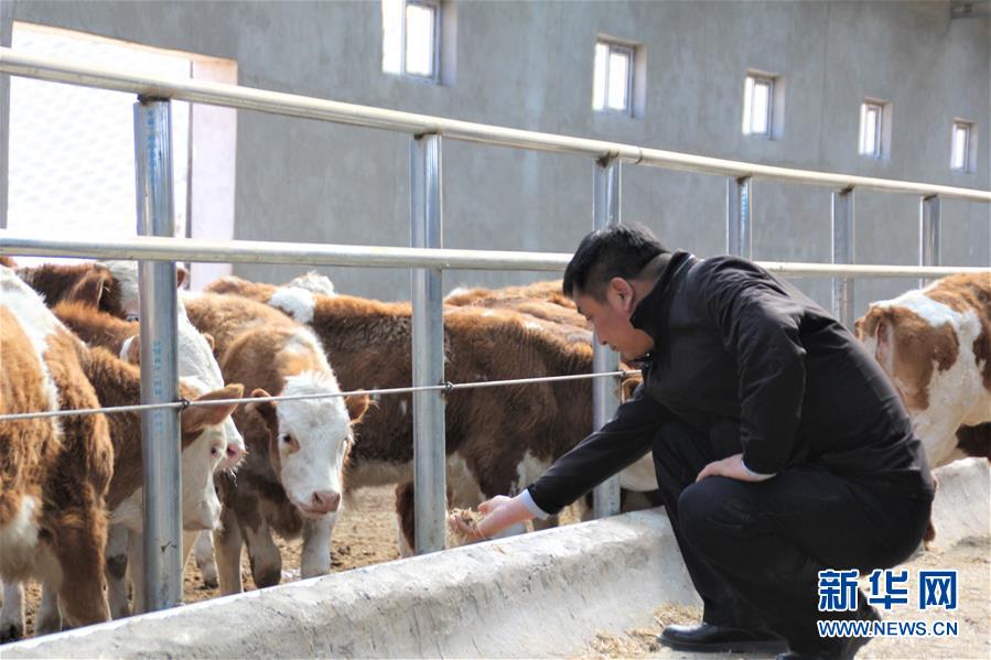 （脫貧攻堅&middot;扶貧印記）（4）&ldquo;牛書記&rdquo;帶領(lǐng)牧民發(fā)展&ldquo;牛產(chǎn)業(yè)&rdquo;助力脫貧