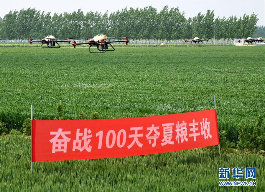 （在習近平新時代中國特色社會主義思想指引下&mdash;&mdash;新時代新作為新篇章&middot;習近平總書記關切事&middot;圖文互動）（9）新農事、新希望&mdash;&mdash;夏收前田間新動態(tài)掃描