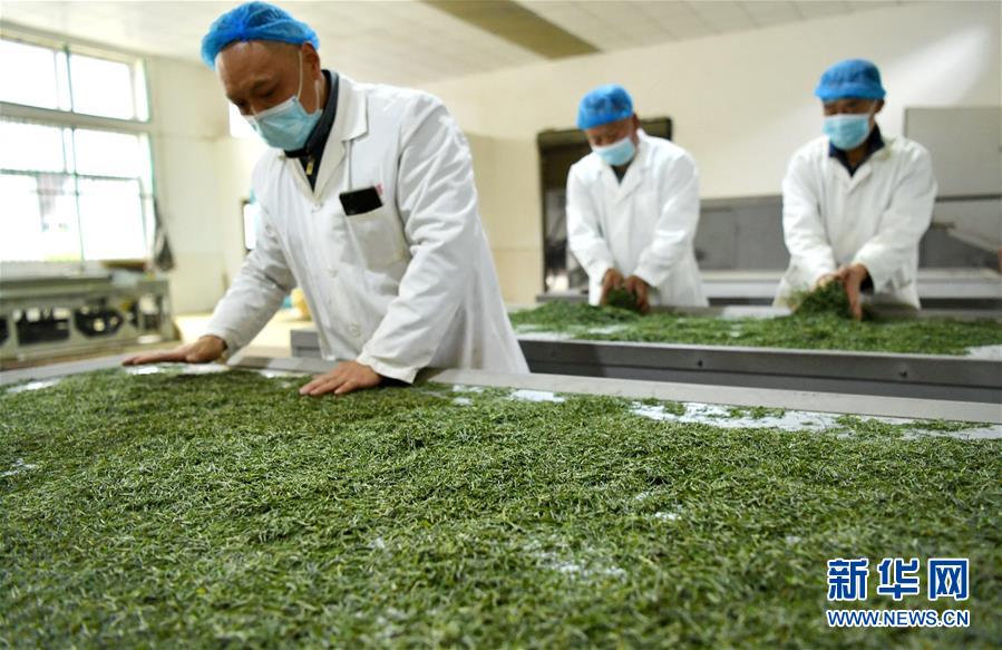 （新華全媒頭條&middot;圖文互動）（22）從人民中汲取磅礴力量&mdash;&mdash;習近平總書記同出席2020年全國兩會人大代表、政協(xié)委員共商國是紀實