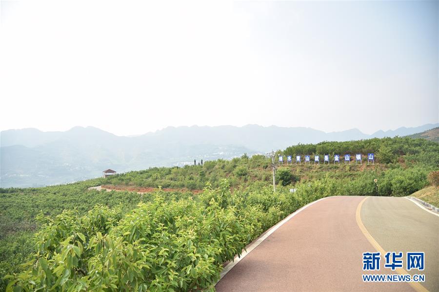 （決戰(zhàn)決勝脫貧攻堅(jiān)&middot;圖文互動(dòng)）（2）烏蒙山農(nóng)民的笑臉&mdash;&mdash;貴州脫貧攻堅(jiān)一線采訪隨筆