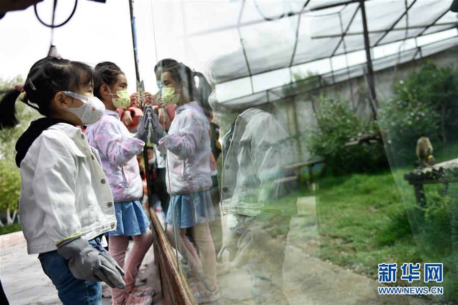 （圖文互動(dòng)）（2）青海西寧：和野生動(dòng)物們共度&ldquo;六一&rdquo;