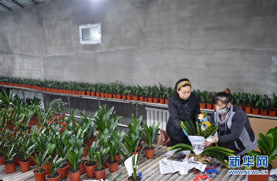 （決戰(zhàn)決勝脫貧攻堅&middot;圖文互動）（11）長白山下唱新篇&mdash;&mdash;吉林延邊州脫貧攻堅觀察