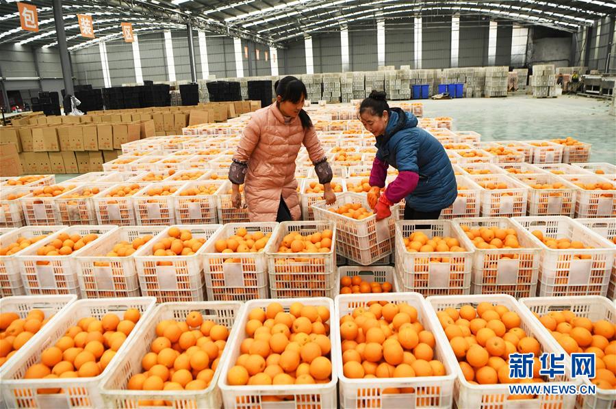 （新華全媒頭條&middot;圖文互動(dòng)）（6）待到滿(mǎn)山紅葉時(shí)&mdash;&mdash;三峽重慶庫(kù)區(qū)踐行新發(fā)展理念面面觀