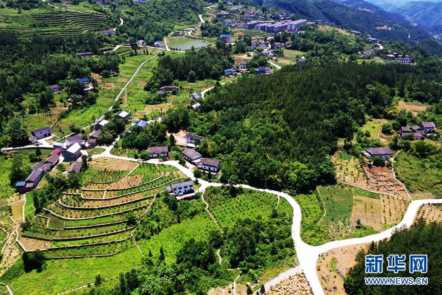 （新華全媒頭條&middot;圖文互動(dòng)）（11）待到滿(mǎn)山紅葉時(shí)&mdash;&mdash;三峽重慶庫(kù)區(qū)踐行新發(fā)展理念面面觀