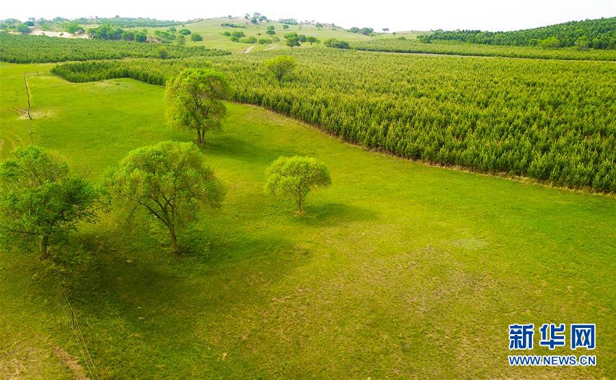 （新華全媒頭條&middot;圖文互動(dòng)）（1）京津最近&ldquo;大沙盆&rdquo;逆轉(zhuǎn)記