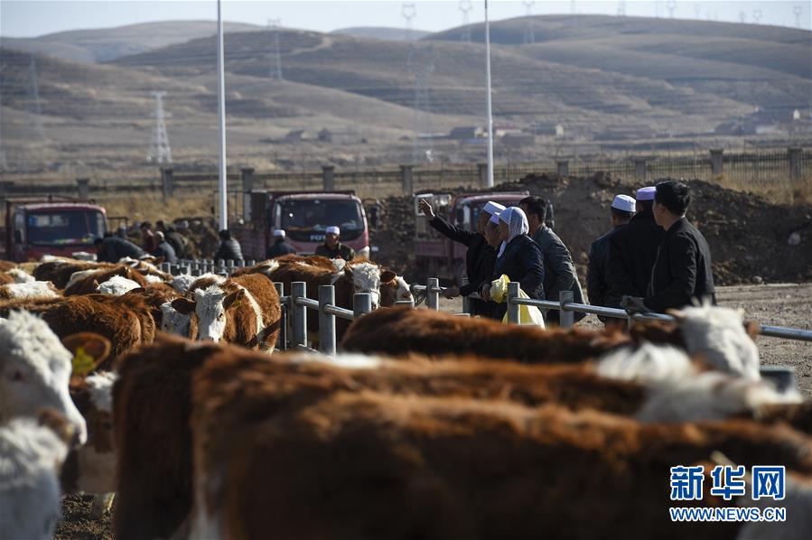 （在習(xí)近平新時(shí)代中國特色社會主義思想指引下&mdash;&mdash;新時(shí)代新作為新篇章&middot;習(xí)近平總書記關(guān)切事&middot;圖文互動）（2）六盤山下的誓言&mdash;&mdash;來自寧夏的脫貧故事