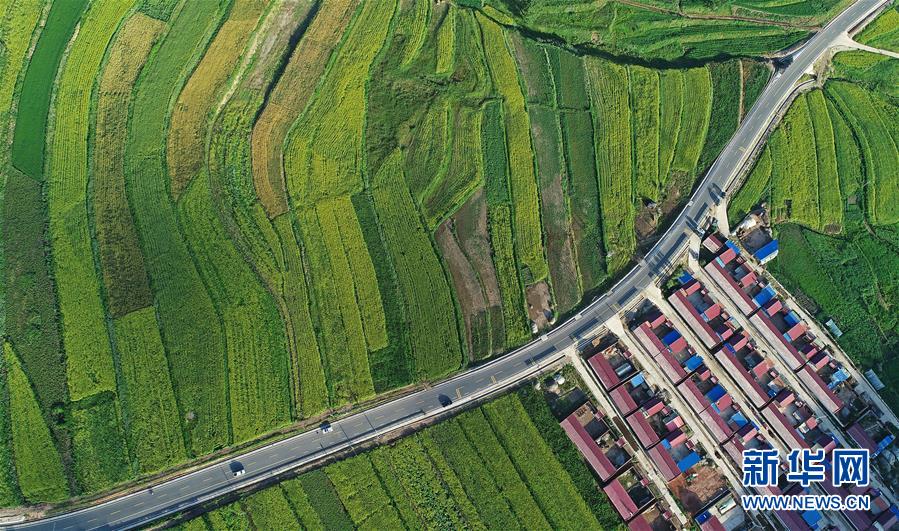 （在習(xí)近平新時(shí)代中國特色社會主義思想指引下&mdash;&mdash;新時(shí)代新作為新篇章&middot;習(xí)近平總書記關(guān)切事&middot;圖文互動）（4）六盤山下的誓言&mdash;&mdash;來自寧夏的脫貧故事